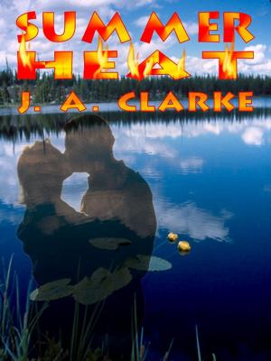 Cover of the book Summer Heat by Judith B. Glad