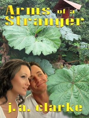 Cover of the book Arms of a Stranger by Kenneth L. Levinson