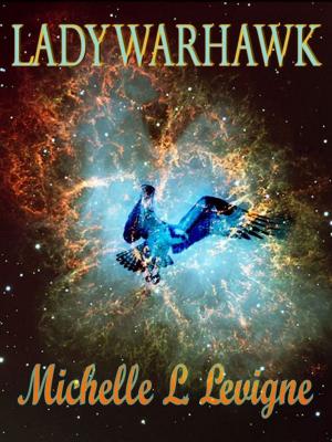 Book cover of Lady Warhawk