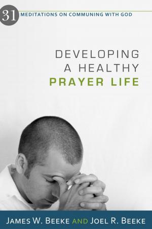 Cover of the book Developing a Healthy Prayer Life by Brian Borgman, Rob Ventura