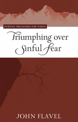 Book cover of Triumphing Over Sinful Fear