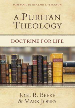 Book cover of A Puritan Theology