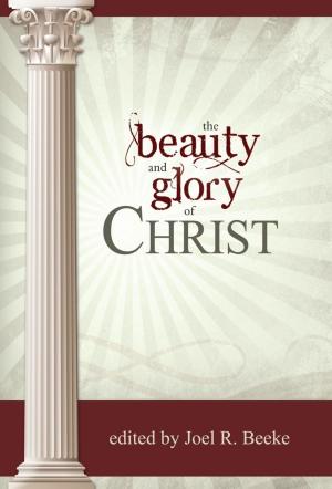 Cover of the book The Beauty and Glory of Christ by Jeremy Bouma