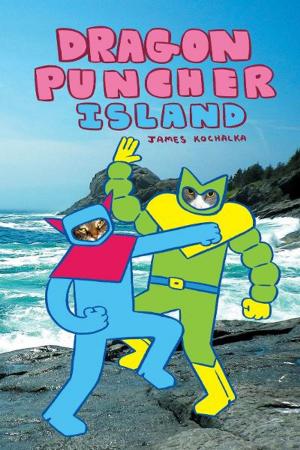 Cover of the book Dragon Puncher 2: Island by Rob Harrell