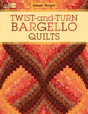 Book cover of Twist-and-Turn Bargello Quilts