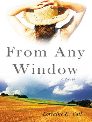 Cover of the book From Any Window: A Novel by Alain F. Corcos