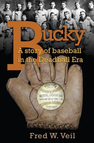 Cover of the book Bucky by Heidi Siefkas