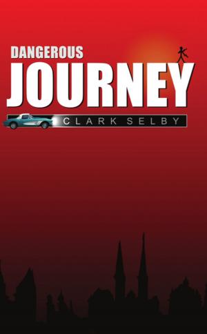 Cover of the book Dangerous Journey by Cameron Vail