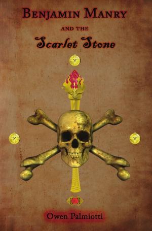 Cover of the book Benjamin Manry and the Scarlet Stone by Patricia Hofer