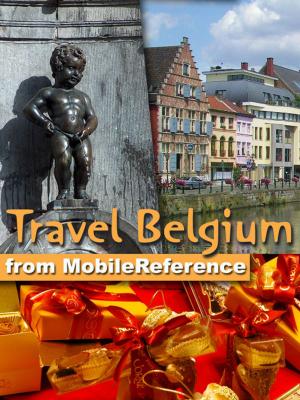 Cover of the book Travel Belgium by Alexandre Dumas