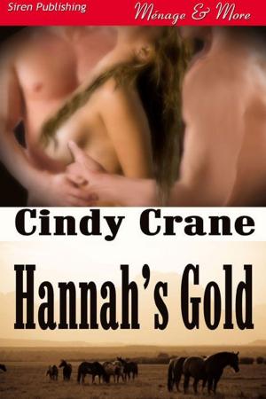 Cover of the book Hannah's Gold by Stormy Glenn