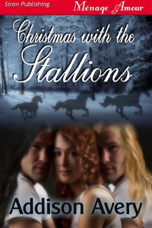 bigCover of the book Christmas With The Stallions by 