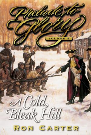 bigCover of the book Prelude to Glory, Vol. 5: A Cold, Bleak Hill by 