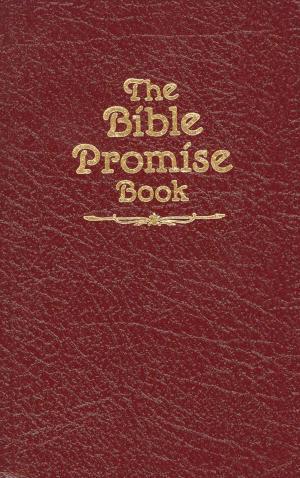 Book cover of The Bible Promise Book KJV