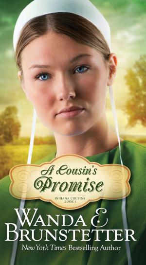 Cover of the book A Cousin's Promise by Kathleen Y'Barbo, Janice Thompson