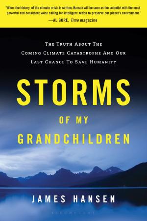 Cover of the book Storms of My Grandchildren by Peta Bee, Dr Sarah Schenker