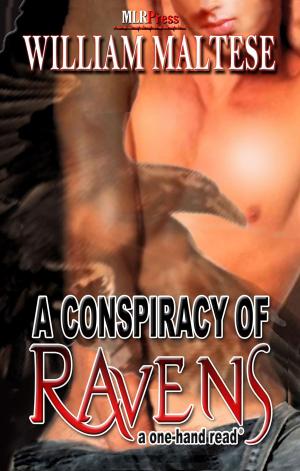 Cover of the book A Conspiracy of Ravens by Ally Blue