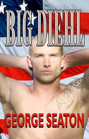 Cover of the book Big Diehl by Neil Plakcy