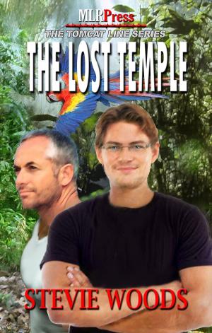 Cover of the book The Lost Temple by Jeanne Barrack