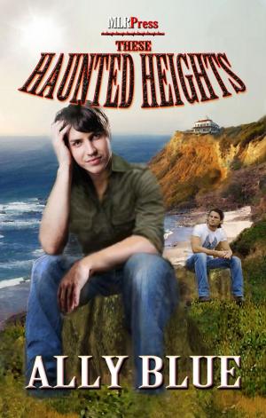 bigCover of the book These Haunted Heights by 