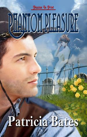 Cover of the book Phantom Pleasure by Ally Blue