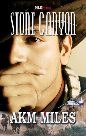 Cover of the book Stone Canyon by Richard Stevenson