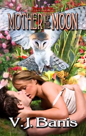 Cover of the book Mother of the Moon by Laura Baumbach