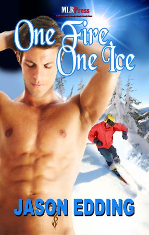 Cover of the book One Fire One Ice by Ava J. Smith