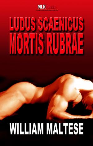 Cover of the book Ludus Scaenicus Mortis Rubrae by Angela Fiddler