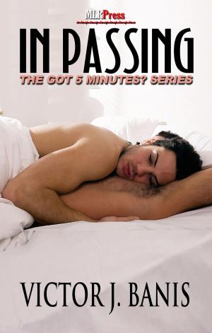 Cover of the book In Passing by Annemarie Musawale