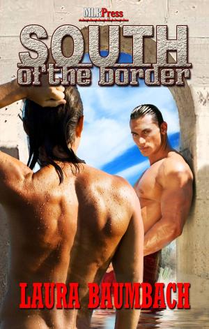 Cover of the book South of the Border by Jeanne Barrack