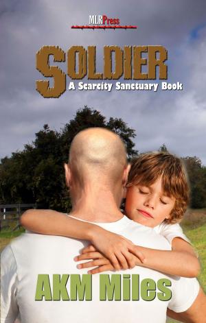 Cover of the book Soldier by Victor J. Banis