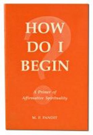 Cover of the book How Do I Begin? by Santosh Krinsky