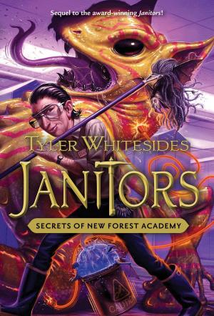 Cover of Secrets of New Forest Academy