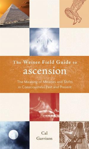 Cover of the book The Weiser Fields Guide To Ascension: The Meaning Of Miracle And Shifts In Consciousness Past And Present by Nathan Johnson