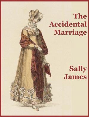 Book cover of The Accidental Marriage