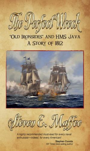 Cover of The Pefect Wreck by Steven E. Maffeo, Fireship Press