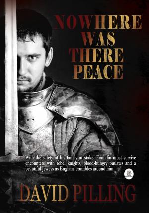 Cover of the book Nowhere Was There Peace by James B. McPike