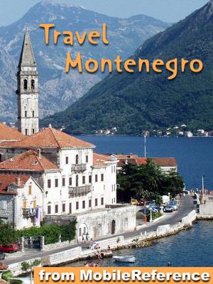 Book cover of Travel Montenegro