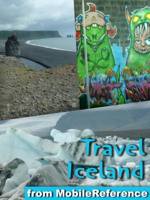 Cover of the book Travel Iceland by George Bernard Shaw