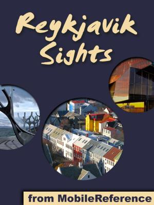 Book cover of Reykjavik Sights