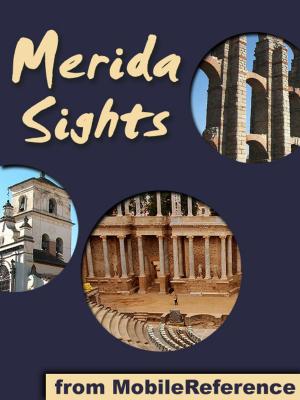 Cover of the book Merida Sights by Albert Einstein, Robert W. Lawson (Translator)