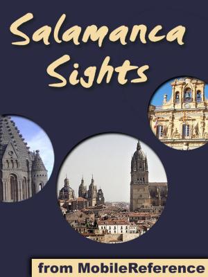 Cover of the book Salamanca Sights by Francis Parkman