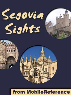 Cover of the book Segovia Sights by Thomas Nash