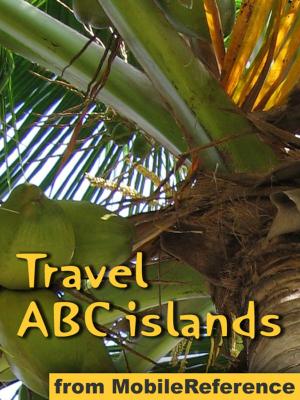 bigCover of the book Travel Aruba, Bonaire & Curacao by 