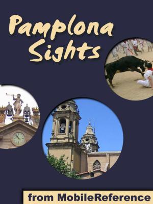 Cover of the book Pamplona Sights by MobileReference