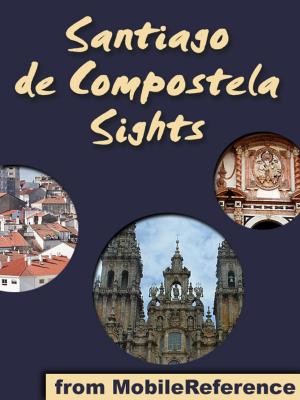 Cover of the book Santiago de Compostela Sights by MobileReference