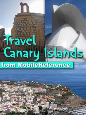 Book cover of Travel Canary Islands