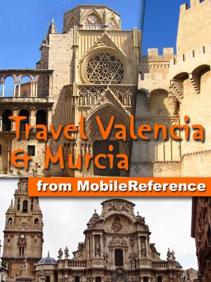 Book cover of Travel Valencia and Murcia, Spain