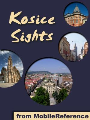 Book cover of Kosice Sights